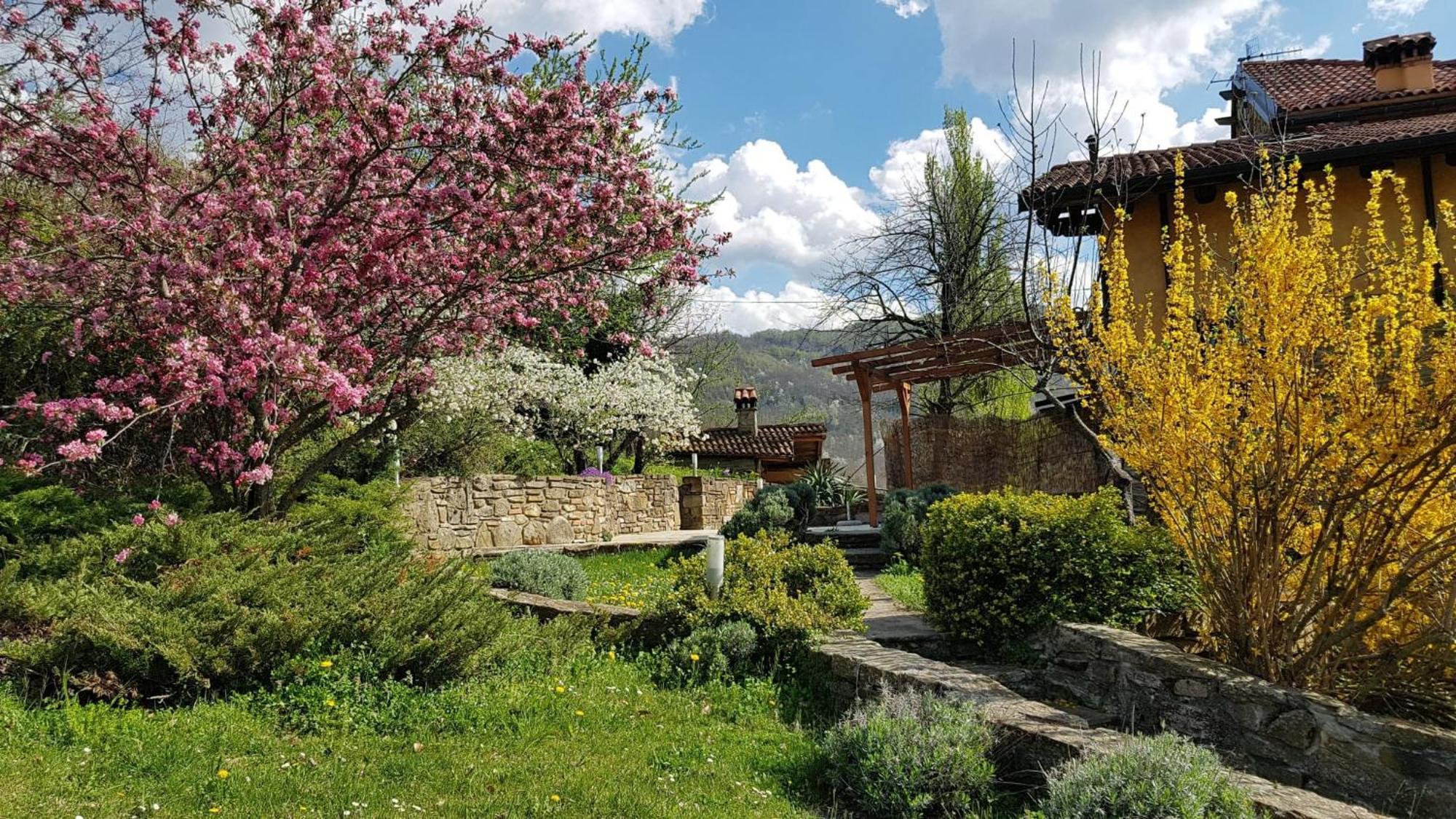 Agriturismo Fattoria Ca Di Sole San Benedetto Val di Sambro Eksteriør bilde